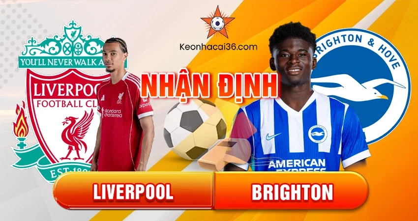 Liverpool vs Brighton